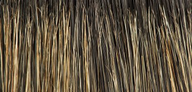 kürk doku yakın çekim