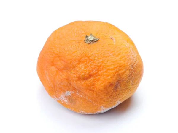 Plesnivé Shnilé Mandarin Izolovaných Bílém Pozadí — Stock fotografie