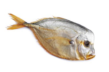 Beyaz izole arka planda vomer balık füme