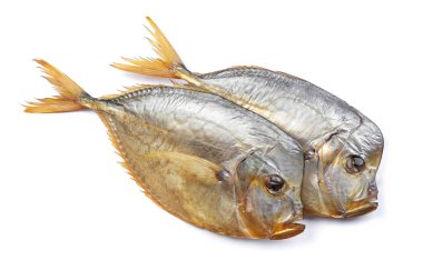Beyaz izole arka planda vomer balık füme