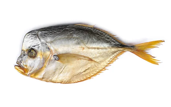 Ikan Vomer Asap Pada Latar Belakang Putih Yang Terisolasi — Stok Foto