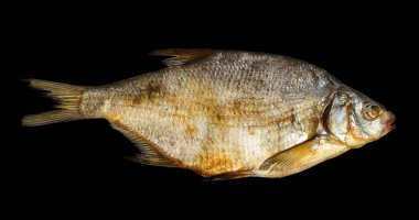 Siyah arka plan üzerine izole bir kurutulmuş balık