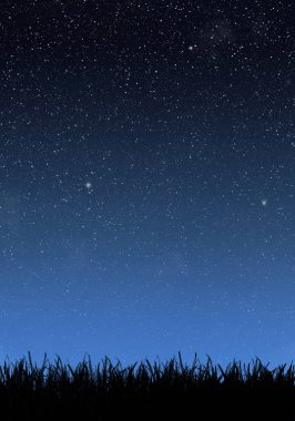 Yıldız ile gece gökyüzünün altında çimen