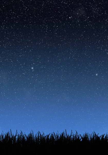 Yıldız Ile Gece Gökyüzünün Altında Çimen — Stok fotoğraf