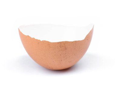 Broken egg shell