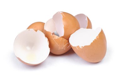 Broken egg shell