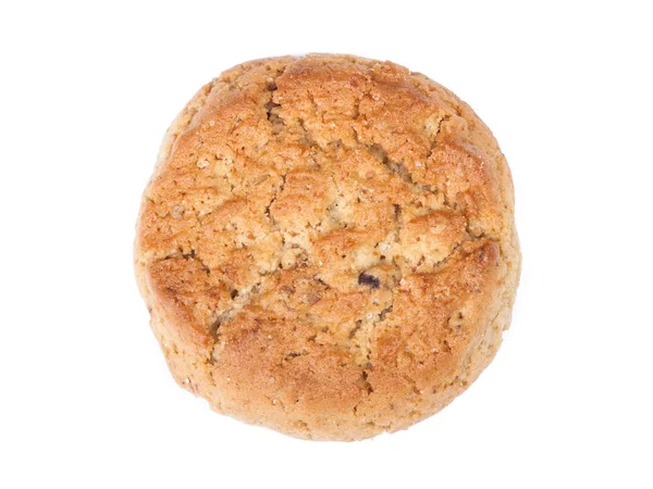 En runda havremjöl cookie — Stockfoto