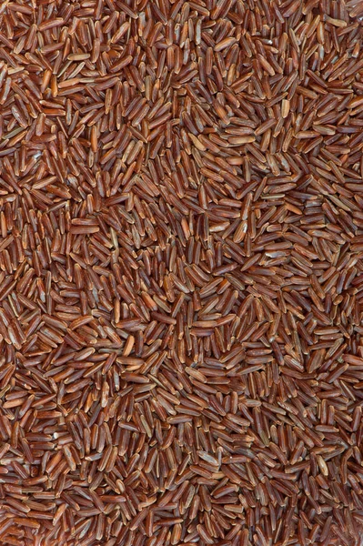 Surface covered with the red rice — Stock Photo, Image