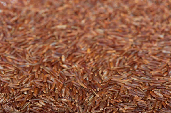 Povrch pokrytý rudá rýže — Stock fotografie