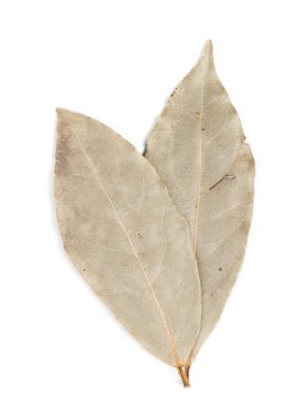 Baharat bay defne yaprakları