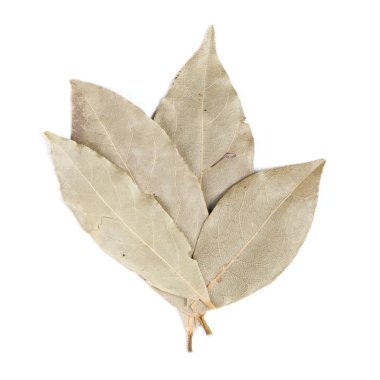 Baharat bay defne yaprakları