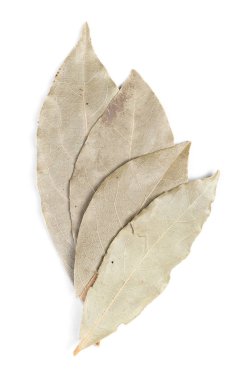 Baharat bay defne yaprakları