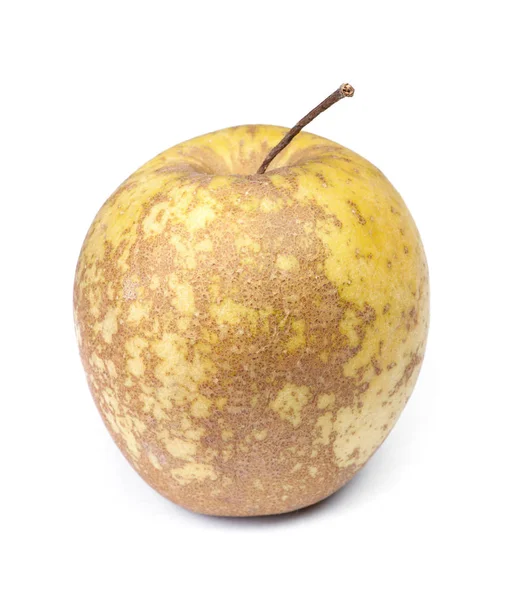 Одно не привлекательное яблоко — стоковое фото