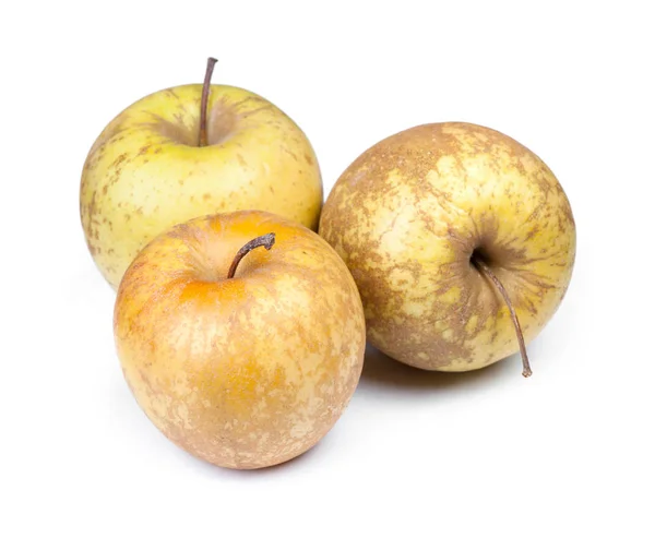 Group of not attractive apples — Stock Photo, Image