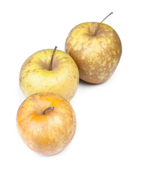 Group of not attractive apples — Stock Photo, Image