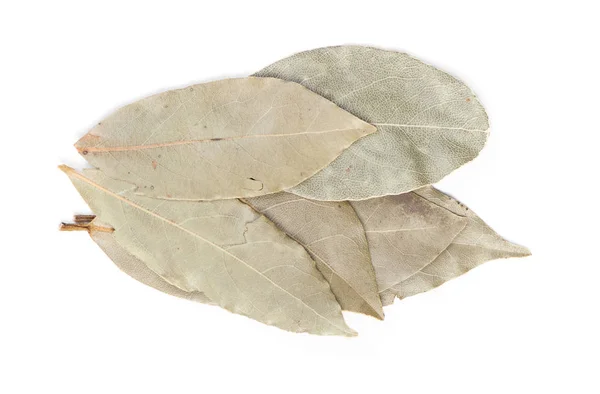 Spices bay laurel leaves — Stock Photo, Image