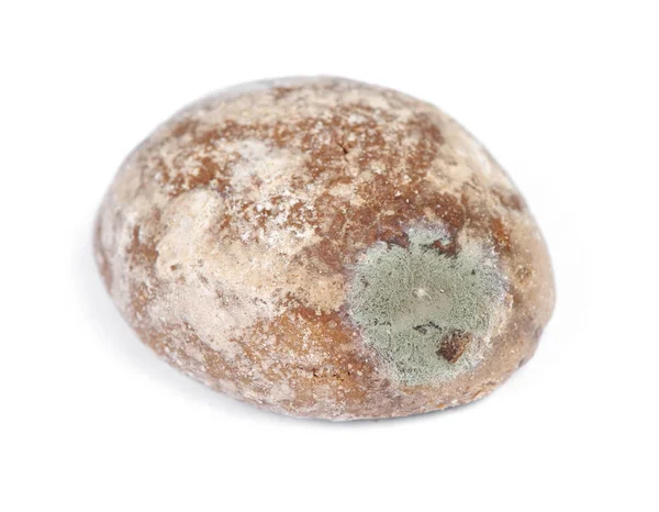 Un biscotto di pan di zenzero ammuffito — Foto Stock