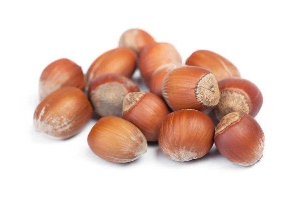 Heap of hazelnuts — Stock Photo, Image