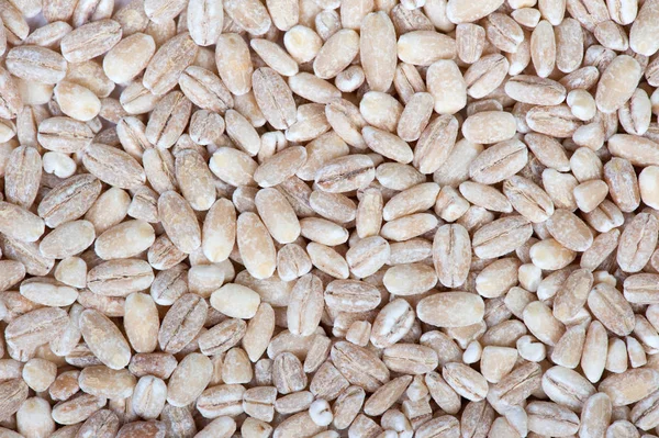 Heap of pearl barley grains — Stock Photo, Image