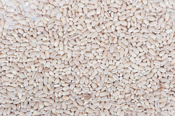 珍珠大麦颗粒堆 — 图库照片
