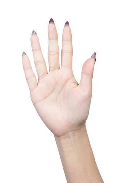 Kadın el parmak numarası izole — Stok fotoğraf