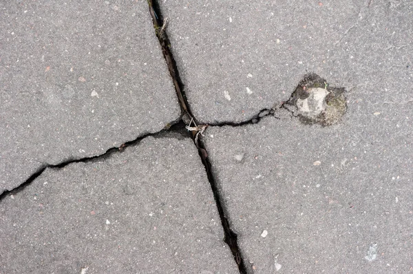 Texture of cracked asphalt — Stock Photo, Image