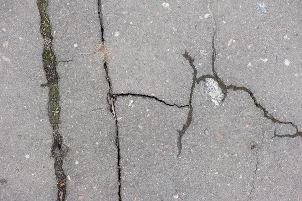 Texture of cracked asphalt — Stock Photo, Image