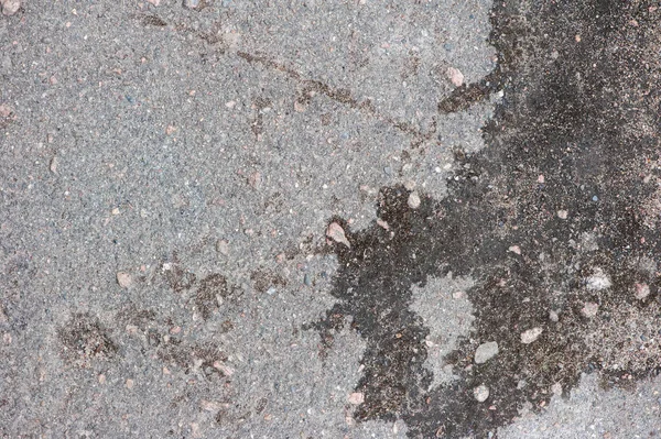 Texture of cracked asphalt — Stock Photo, Image