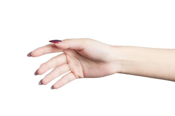 Nahaufnahme weiblicher Handgeste — Stockfoto