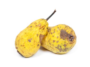 Kırışık ve çürük sarı armutlar.