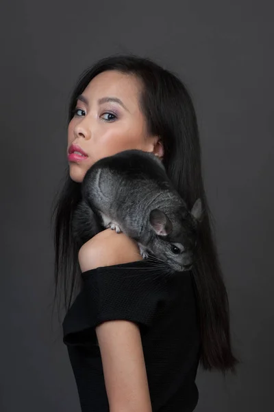 Asiatisk kvinna håller grå chinchilla — Stockfoto