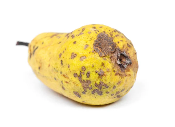 Rynkad och rutten gul päron — Stockfoto