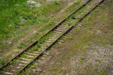 Bitkiler arasındaki eski demiryolu rayları