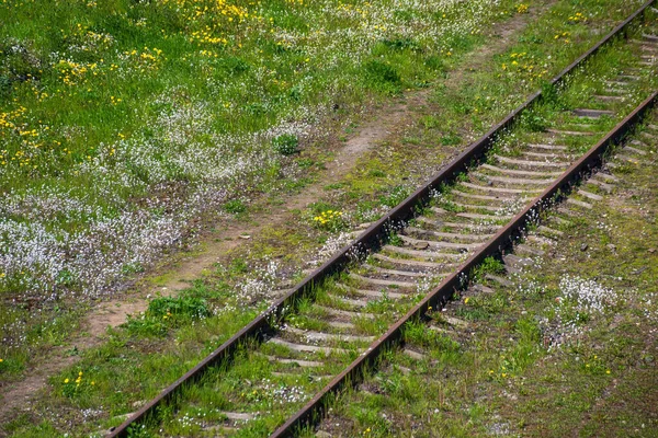 Velhos Trilhos Ferroviários Natureza Entre Plantas — Fotografia de Stock