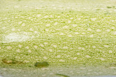 Makro shot, yeşil sebze iliği dokusu ya da kabak.