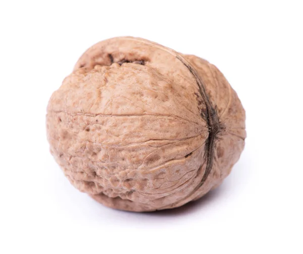 One Big Walnut Isolated White Background — Stock Photo, Image