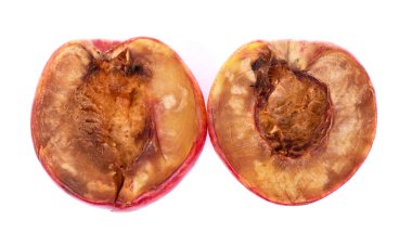 Beyaz arka planda izole edilmiş iki çürük nektarin.