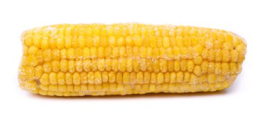 Donmuş mısır koçanı beyaz arkaplanda izole