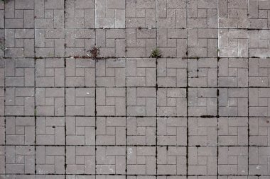 Filizlenmiş çimenli eski asfalt döşemeler, arka plan