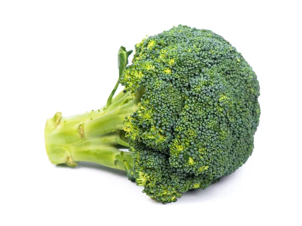 Fresh Broccoli Closeup Isolated White Background — Stock Photo, Image