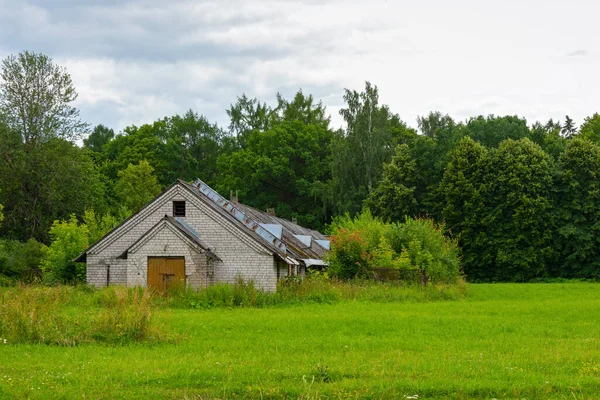 Altes Verlassenes Backsteingebäude Mitten Der Natur — Stockfoto