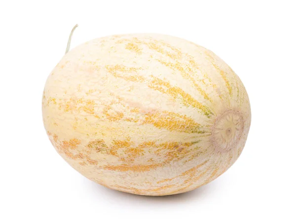 Singolo Melone Melata Fresca Isolata Sfondo Bianco — Foto Stock