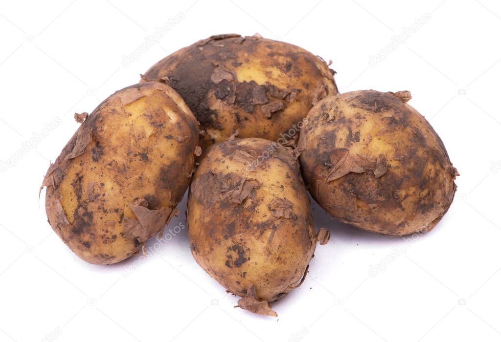Group of new potatoes with soil isolated over white background