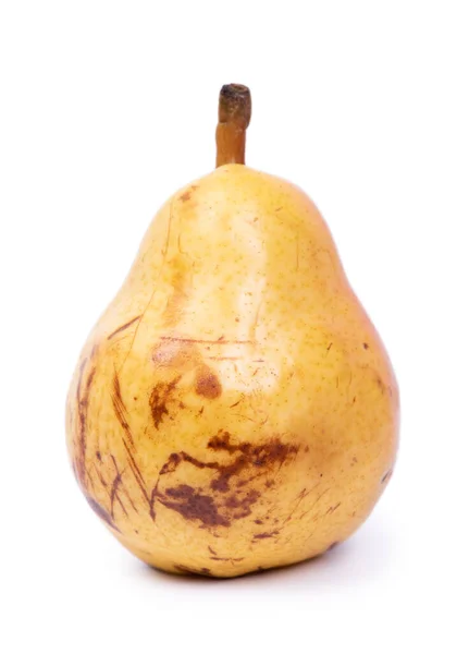 One Defective Pear Isolated White Background — Stock Photo, Image