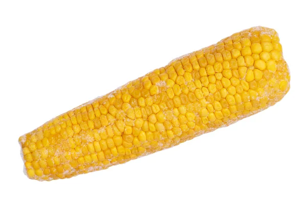 Frozen Corn Cob Isolated White Background — Stock Photo, Image