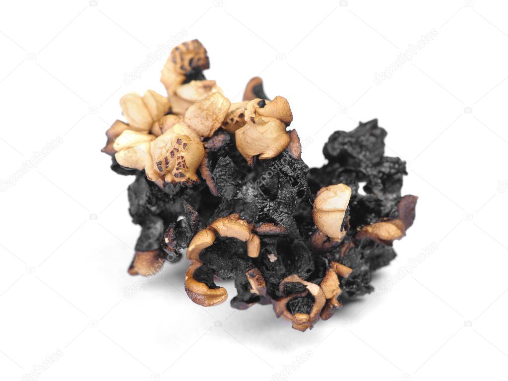 Burnt popcorn kernel isolated over white background