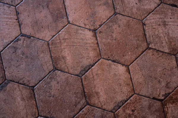 Vintage Brun Keramik Kakel Form Honeycombs Hexagonala Golvplattor Stockbild