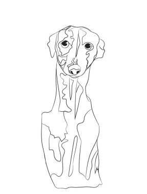 köpek portre, çizgiler, vektör, beyaz arka plan