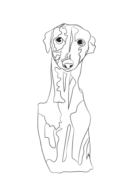 犬の肖像画 ベクトル ホワイト バック グラウンド — ストックベクタ
