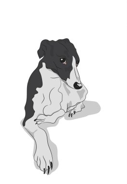 köpek yatıyor, vektör, beyaz arka plan